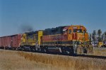 BNSF 2366 East